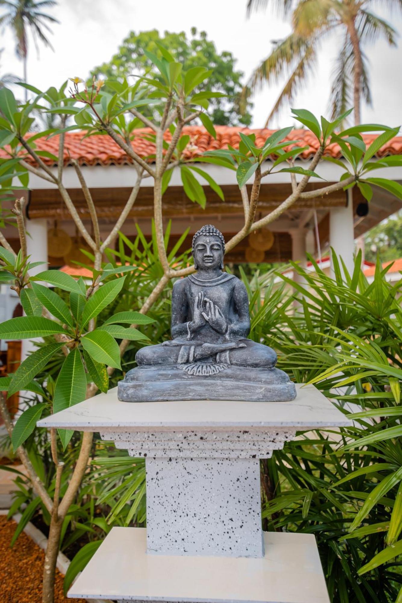 Tree Of Life Resort Bentota Ngoại thất bức ảnh